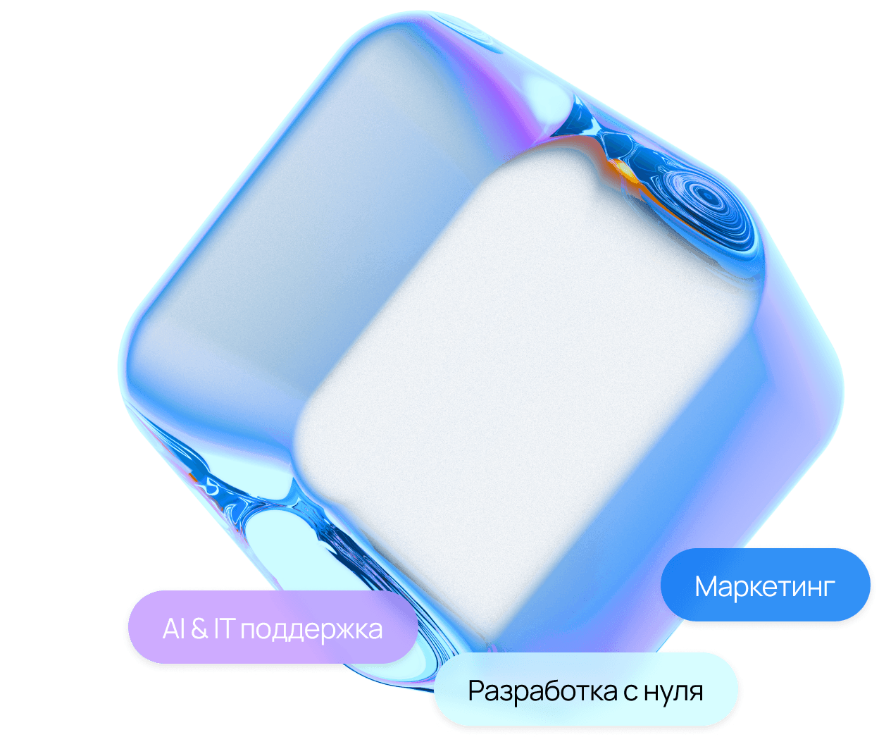 Команда NavExpert за работой